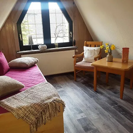 Mit Sauna Kamin Balkon Naehe Schwarzenberg Erzgebirge Appartement