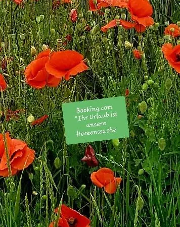 Daire Montanregion Erzgebirge-ihr Urlaub Ist Unsere Herzenssache