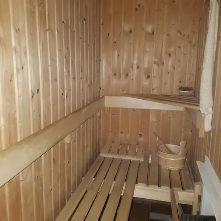 Mit Sauna Kamin Balkon Naehe Schwarzenberg Erzgebirge Langenberg (Erzgebirgskreis)