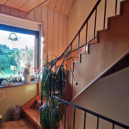 Appartement Mit Sauna Kamin Balkon Naehe Schwarzenberg Erzgebirge Langenberg (Erzgebirgskreis)