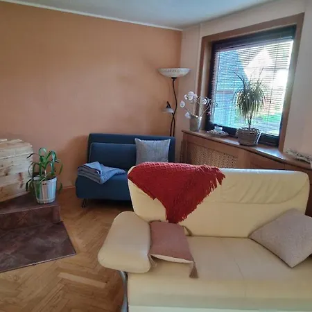 Mit Sauna Kamin Balkon Naehe Schwarzenberg Erzgebirge *